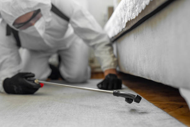 Professional Termite Control technician working in Lockport, IL