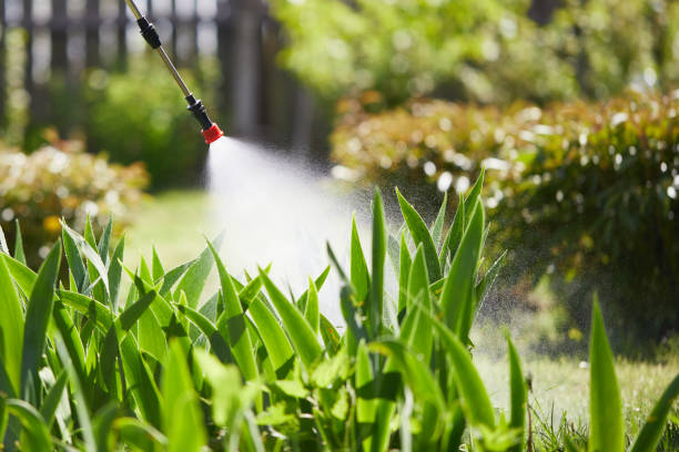 24/7 Emergency Termite Control experts in Lockport, IL